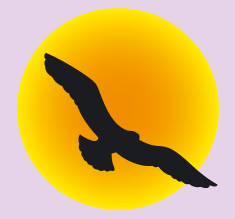 Snowbird-Home Snowbird-Home